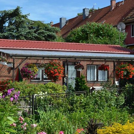 Bungalow Weidling Hasselfelde Exterior foto